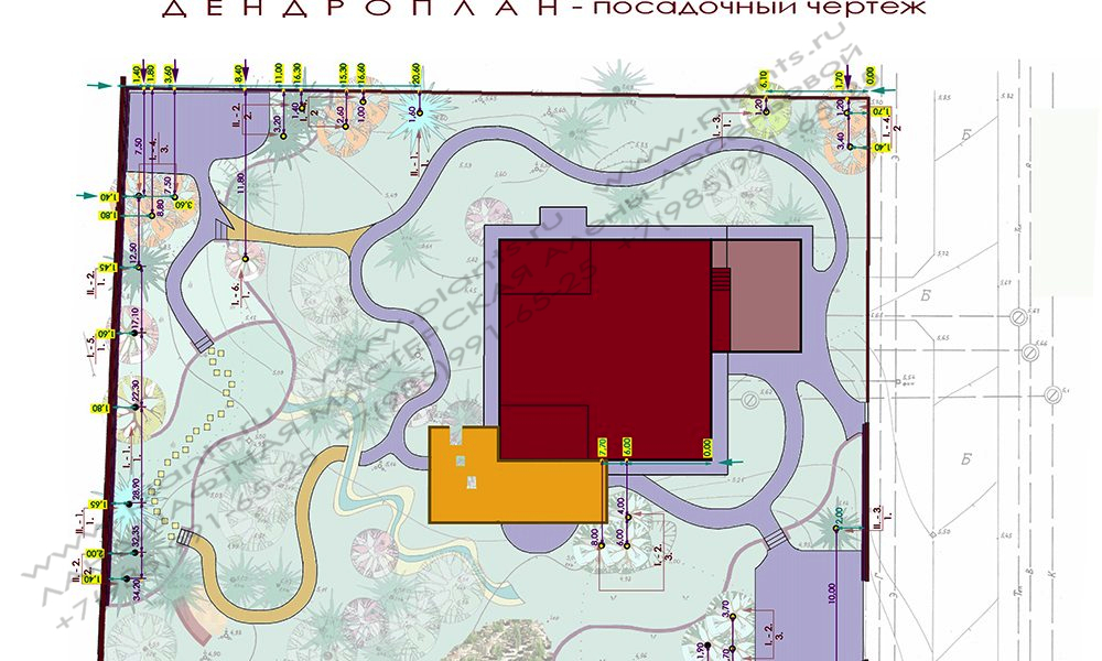 Ландшафтный проект участка 20 соток - посадочный чертеж к дендроплану